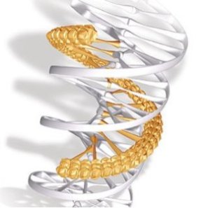Three-Strand DNA